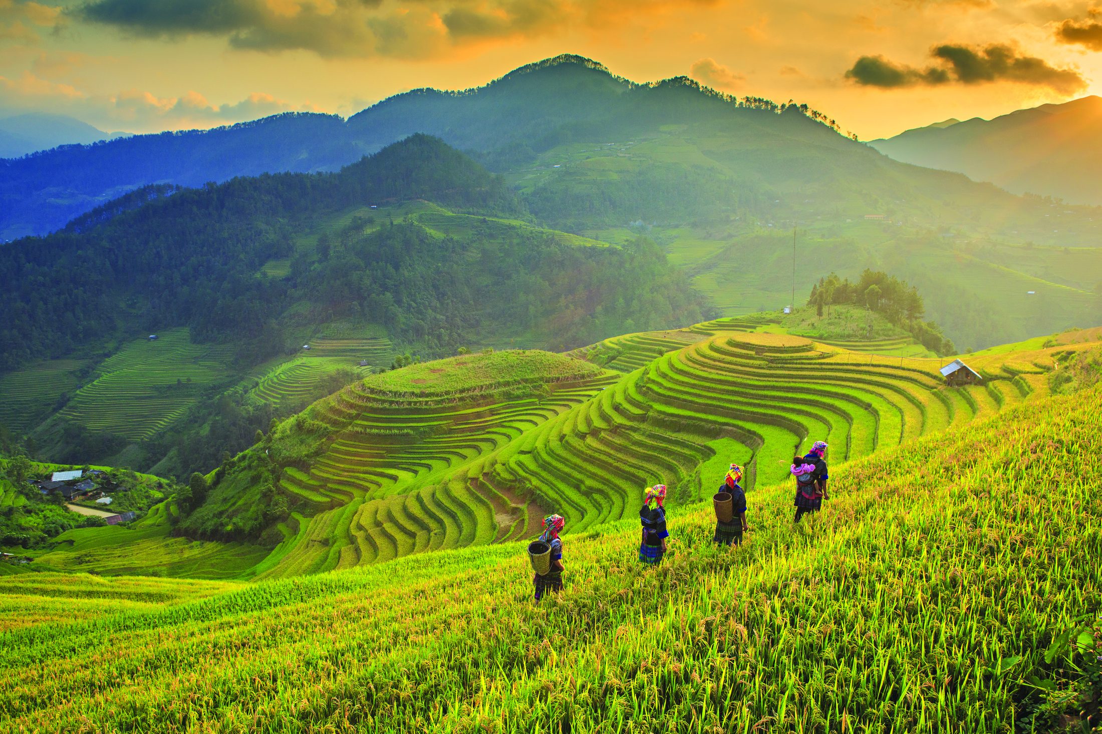 JusTravel Asia
