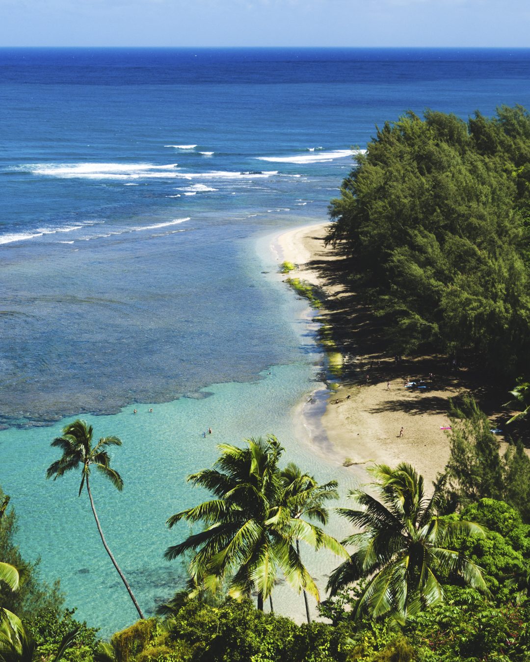 Pure Kauai