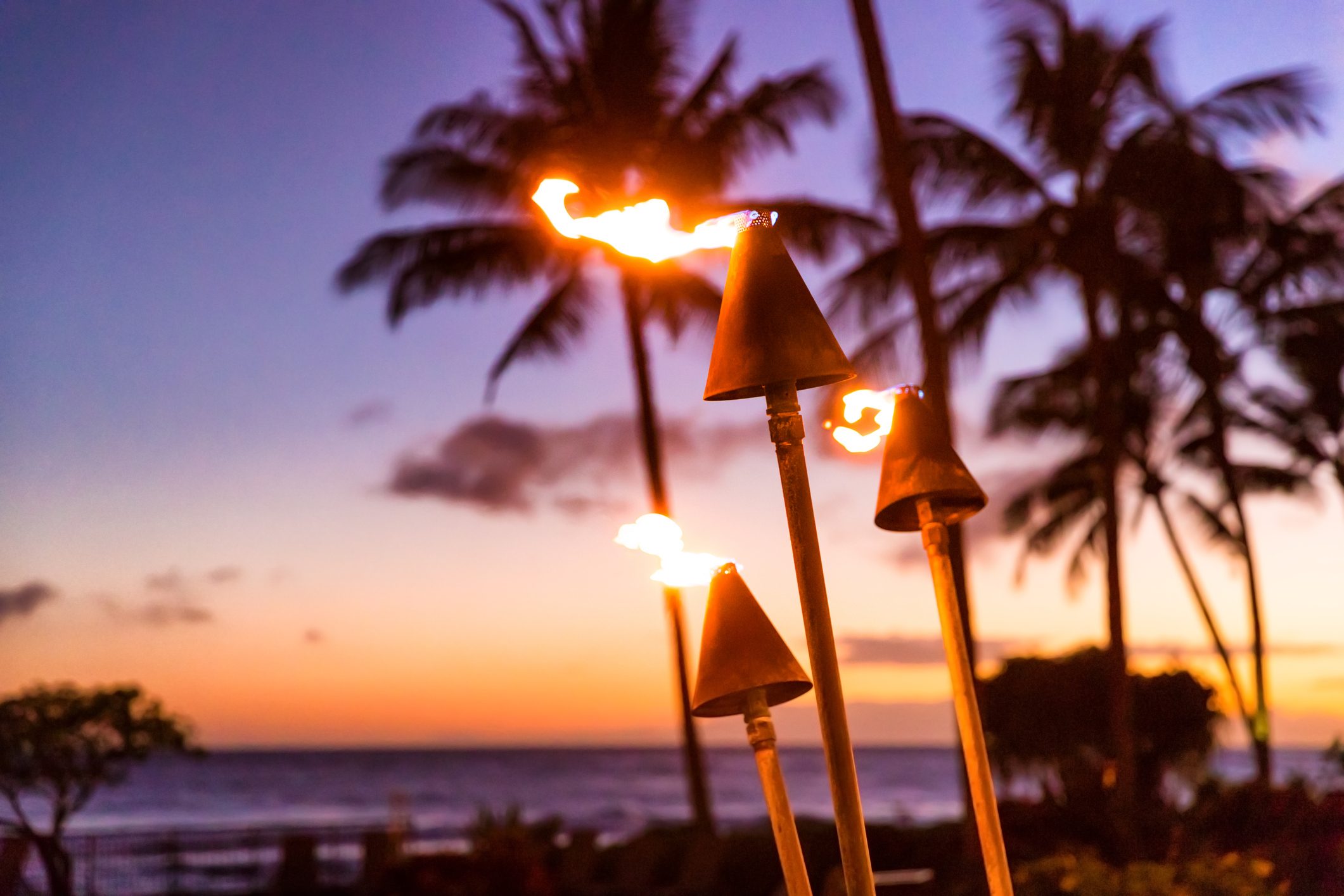 Pure Kauai
