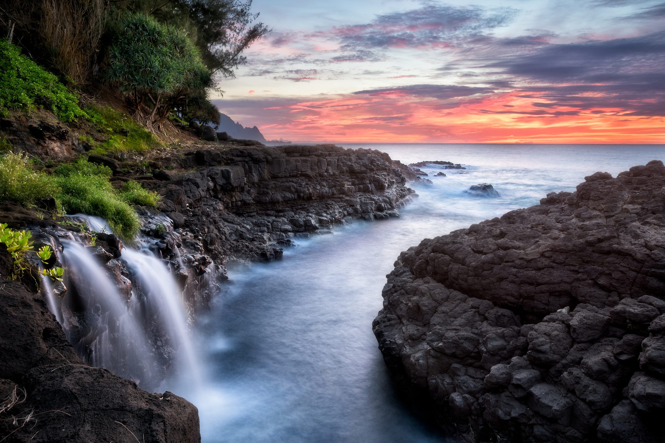 Pure Kauai