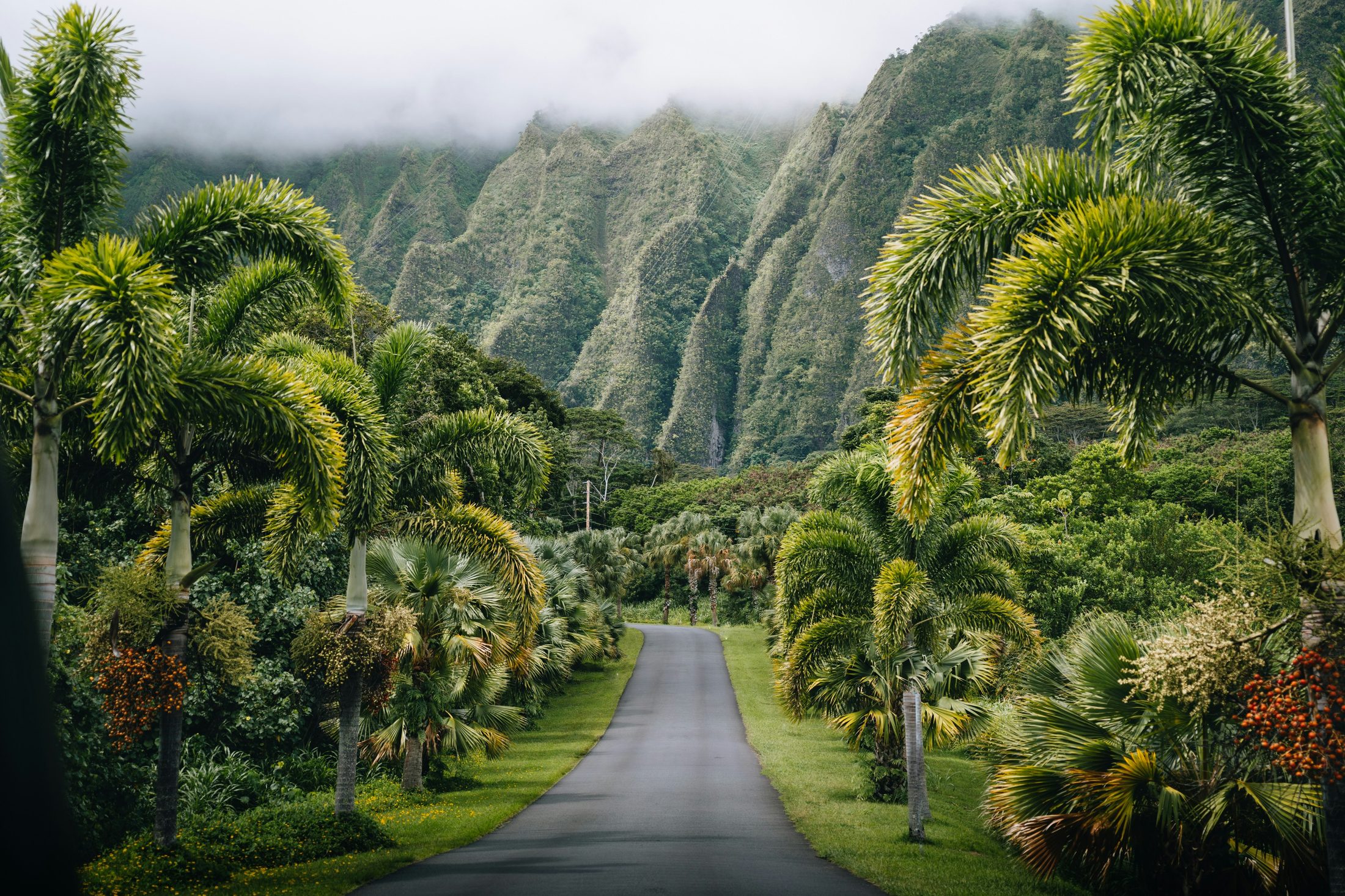Pure Kauai