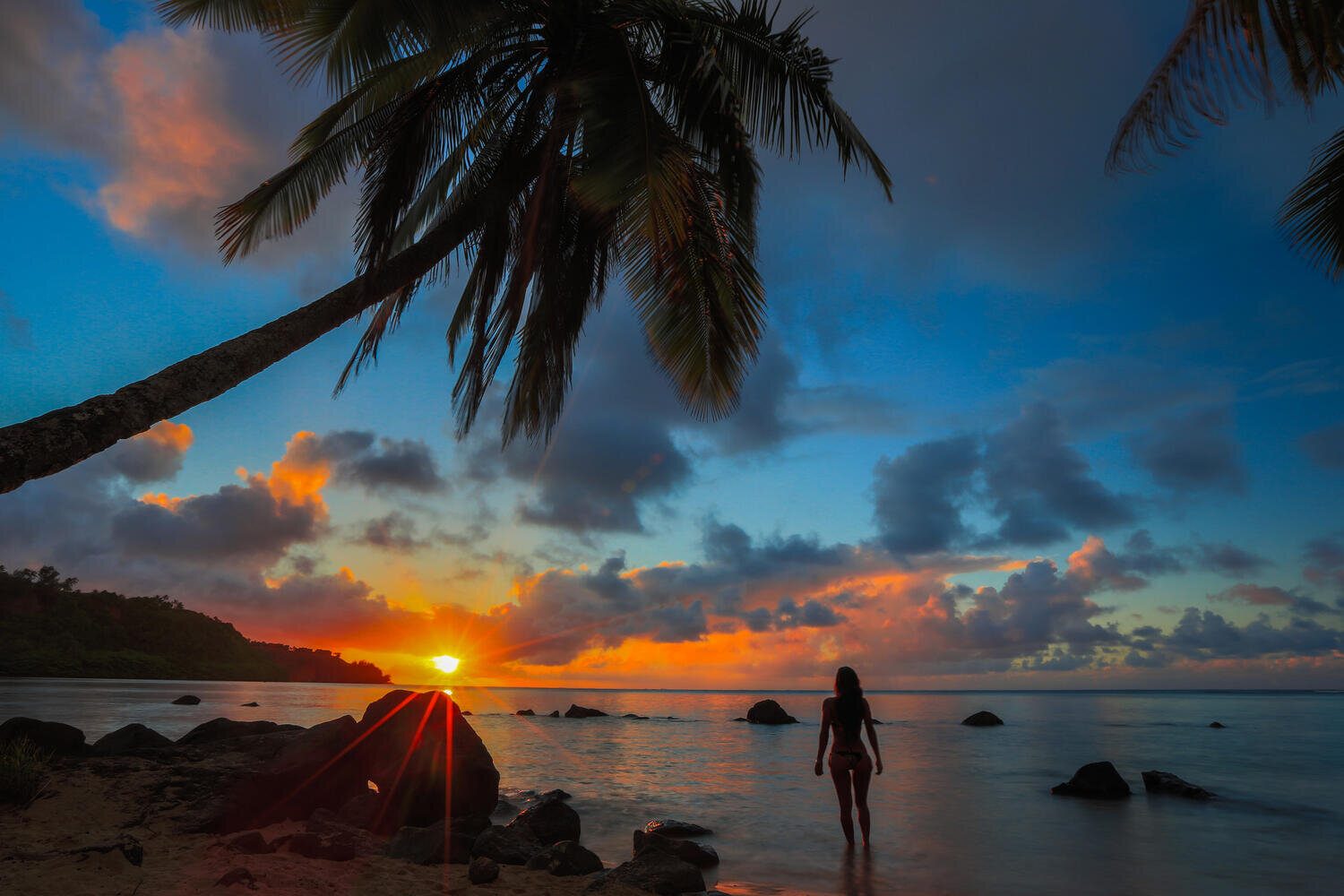 Pure Kauai