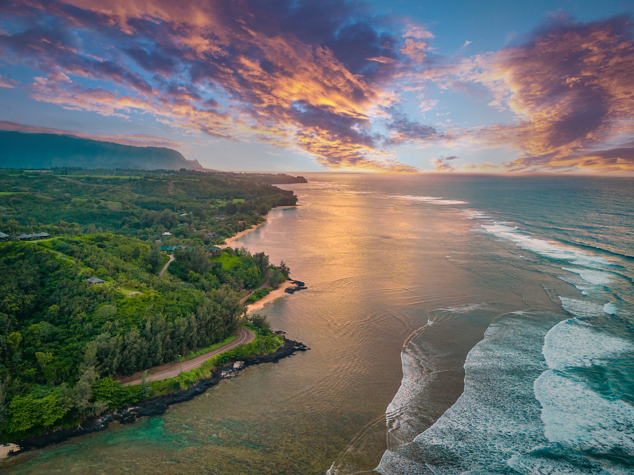 Pure Kauai