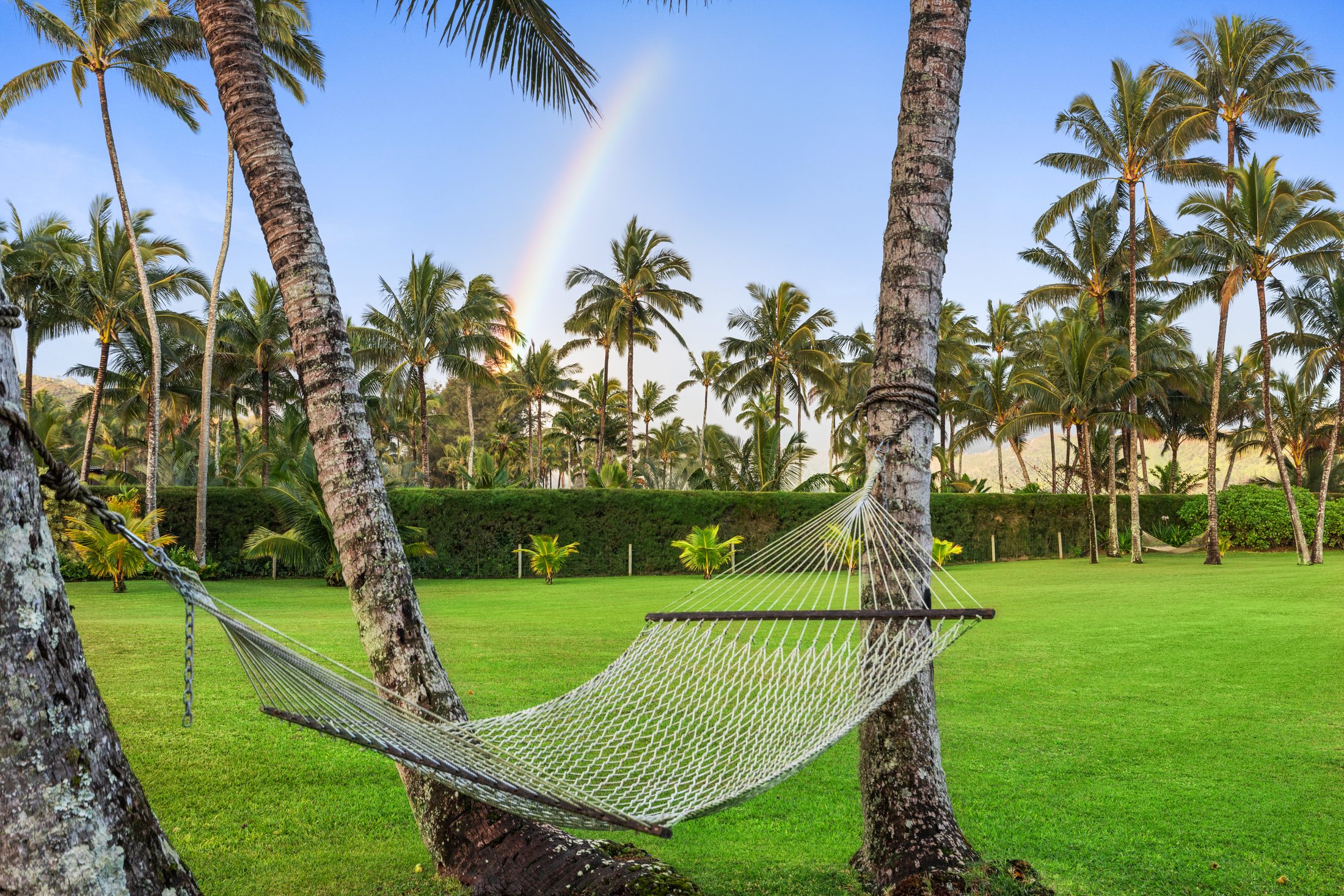 Pure Kauai