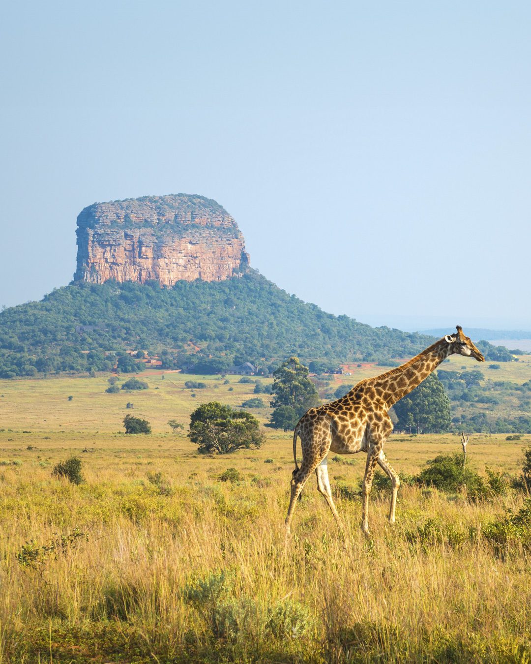 Travel Wild