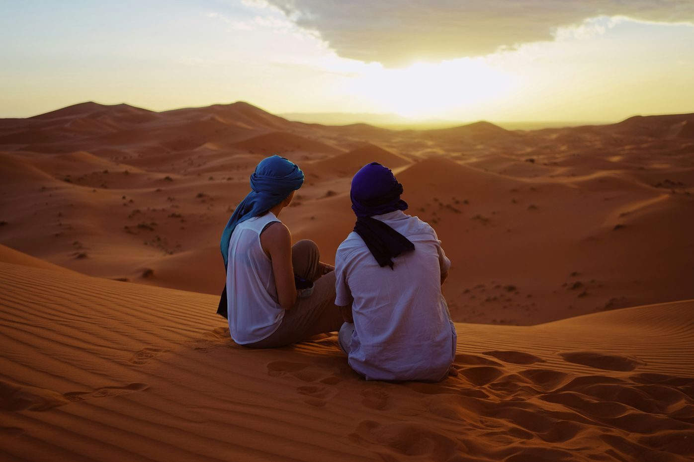 Travel Wild