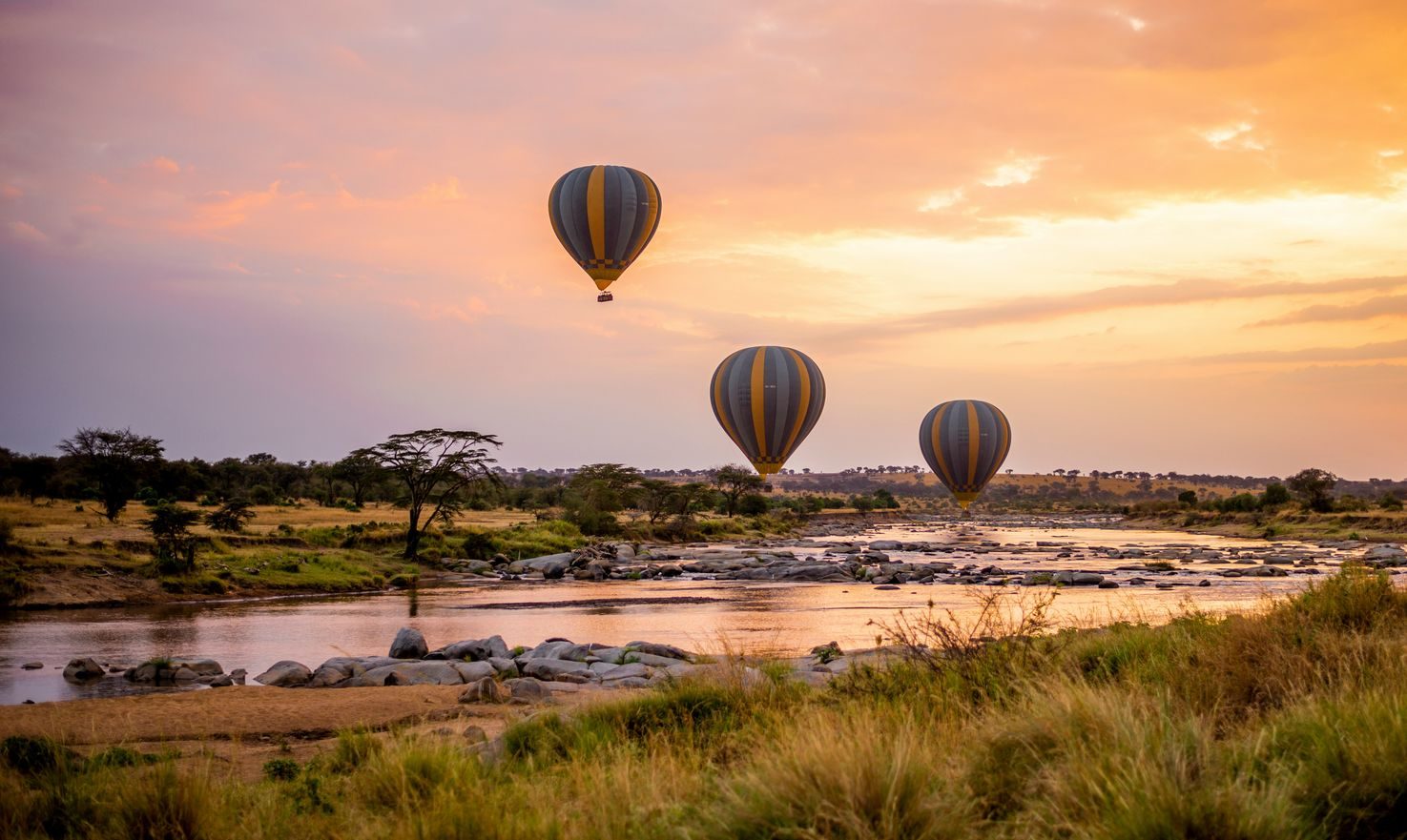 Travel Wild