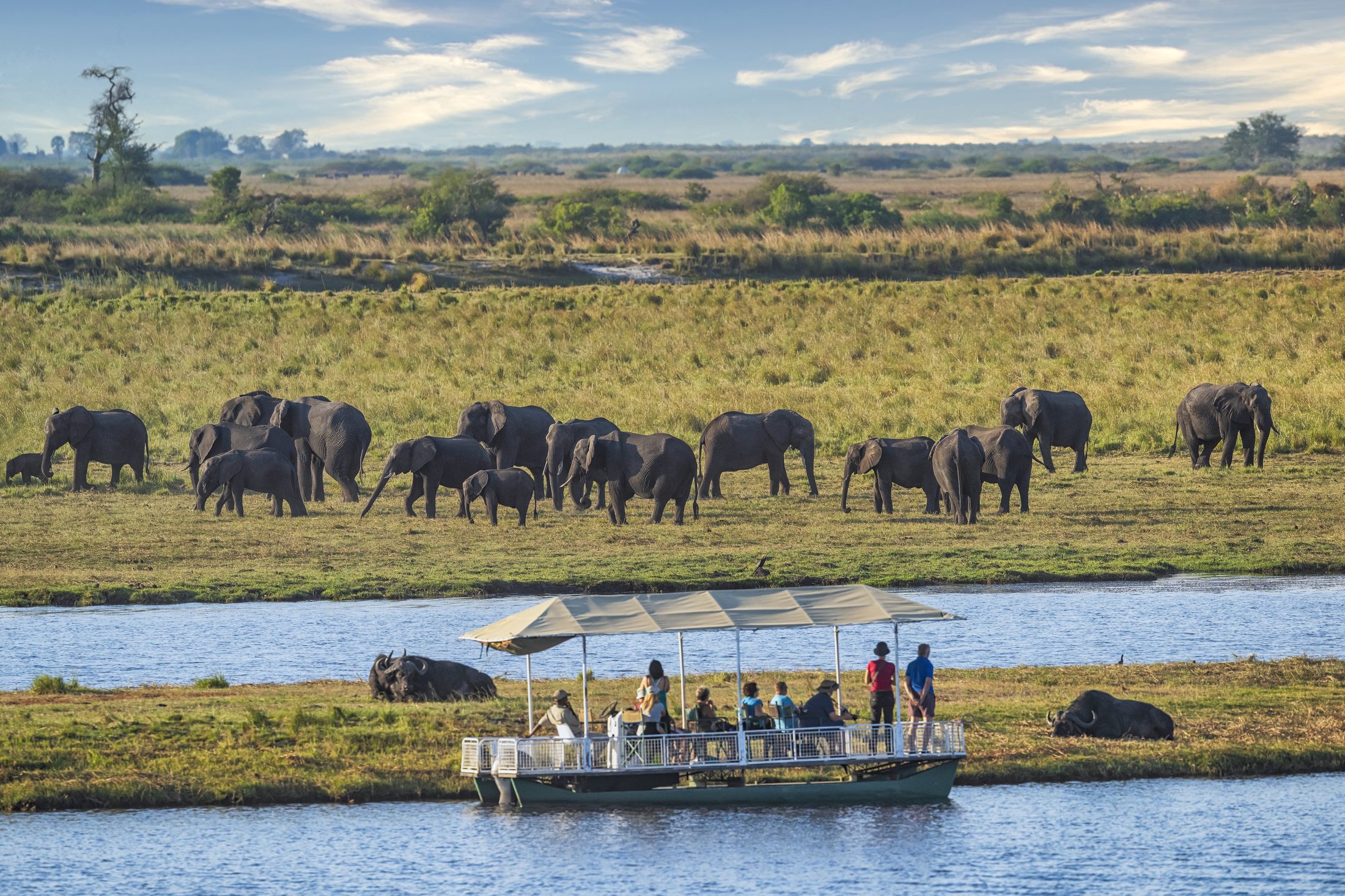 Travel Wild