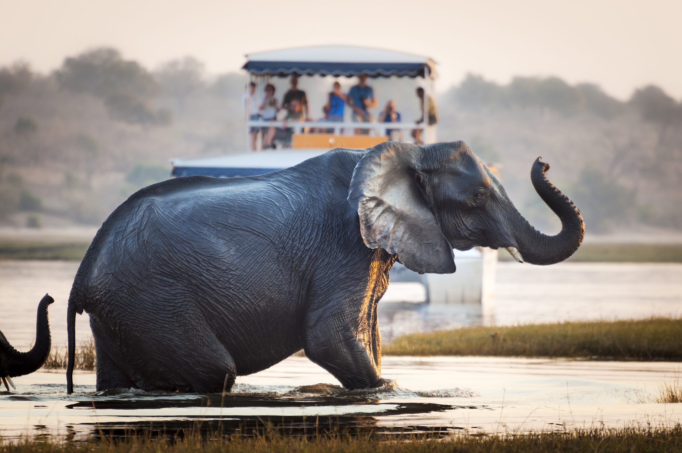 Travel Wild